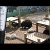 IMG_6852
20/06/2004 4:45:29 PM